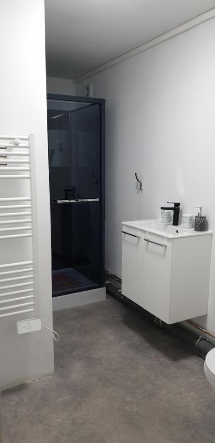 Studio, Chambres, Appartement, Gite Vendegies-sur-Ecaillon エクステリア 写真